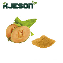 Cantaloupe extract fruit powder